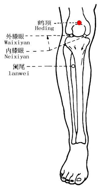 愛情厄 意思 鶴頂穴位置